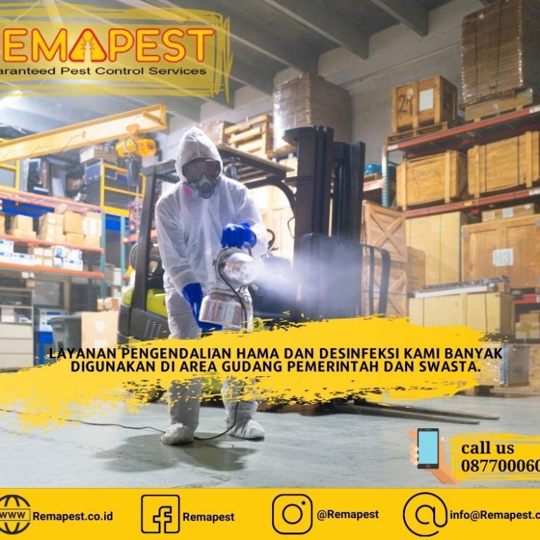 layanan jasa disinfektan terbaik dari remapest